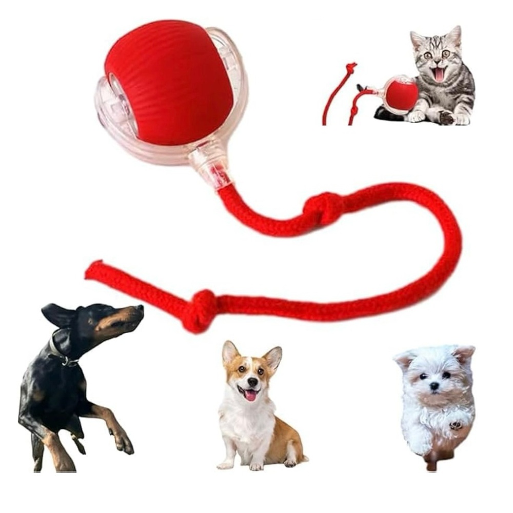 Interactive Red Cat Toy with String